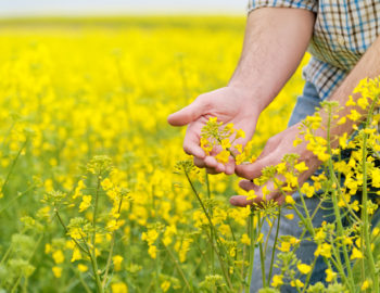 iStock-473828116