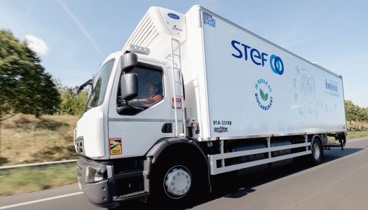 STEF © ACAClandoeil.fr